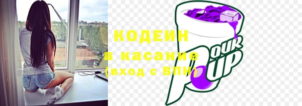 прущие грибы Баксан