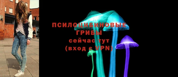 прущие грибы Баксан