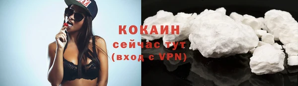 прущие грибы Баксан