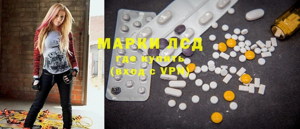 прущие грибы Баксан