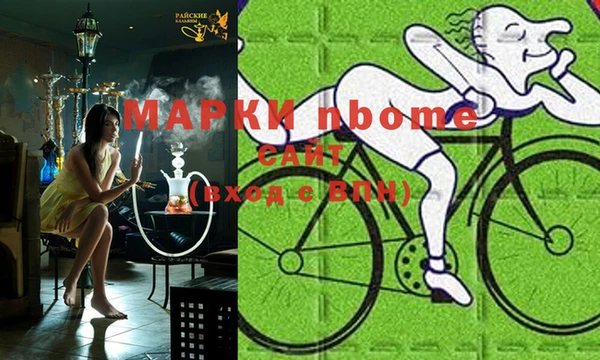 прущие грибы Баксан